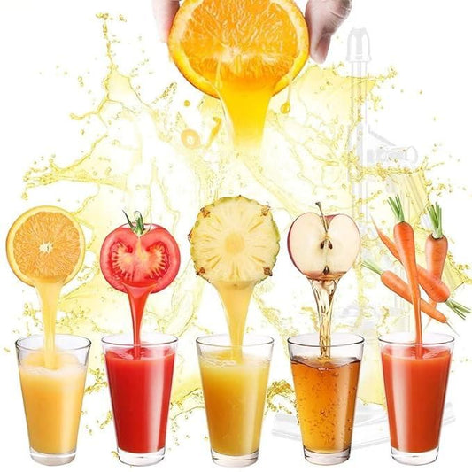 Fruit Juicer